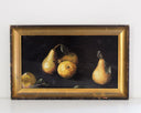 Harvest | 6.75x12
