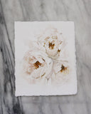 Golden Peonies | 8x10