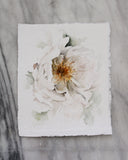 Shy Petals | 8x10