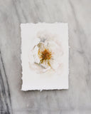 Unfurl | 5x7