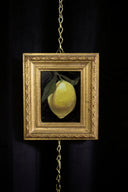 Lemon Drop II | 2x3.5