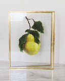 Yellow Gold | 7x9