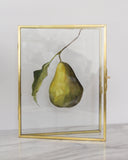 Chartreuse | 7x9