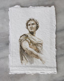 Julius | 5x7
