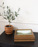 June Trinket Box | 5x7"