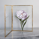 Pink Peony | 8x10