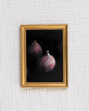 Fig Study no.1 | 5x7