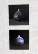 Fig Study no.3 | 6x6