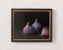 Fig Study no.5 | 8x10