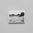 Country Path | 5x7"