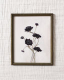 Burgundy Fleurs | 8x10