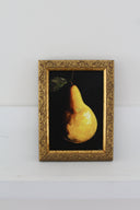 Vintage Framed Print: Pear Study no.1 | 3.5x5"