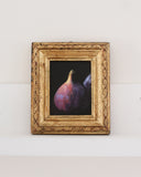 Vintage Framed Print: Fig Study no.5 | 2x3.5"