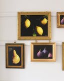 Vintage Framed Print: Pear Study no.1 | 5x7"