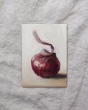 Onion Study no.2 | 5x7