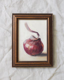 Onion Study no.2 | 5x7