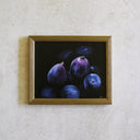 Vintage Framed Print: Fig Study no.6 | 8x10"