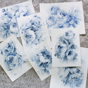 Blue Peonies no.13 | 9x12