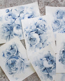 Blue Peonies no.16 | 11x14