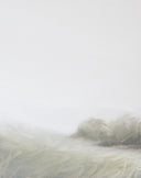 Soft Grasses | 8x10