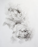 Black & White Peonies no.2 | 11x14