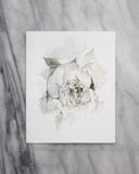 Peony no. 2 | 8x10