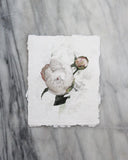 Peony no. 3 | 8x10
