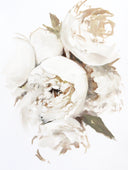 Peony no. 6 | 12x16