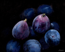 Fig Study no.6 Print