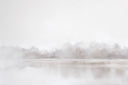 Winter Fog | 24x36