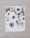 Anemone no. 2 | 8x10