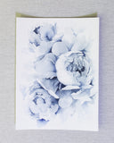 Blue Peonies no.15 | 9x12