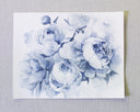 Blue Peonies no.16 | 11x14