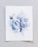 Blue Peonies no.9 | 8x10