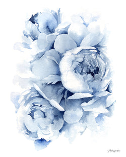 Blue Peonies no.1 Print