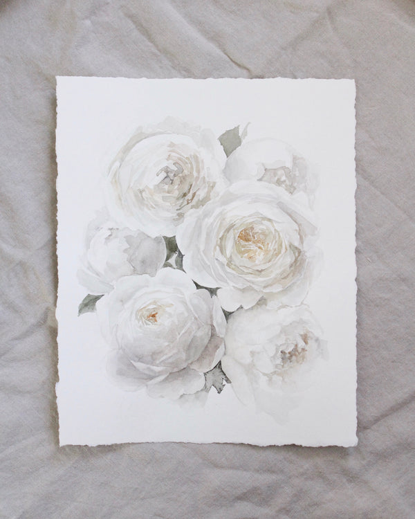 Garden Rose no.5 | 11x14