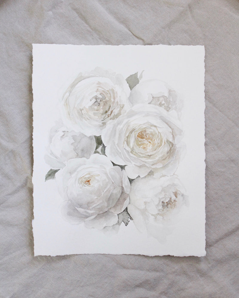 Garden Rose no.5 | 11x14