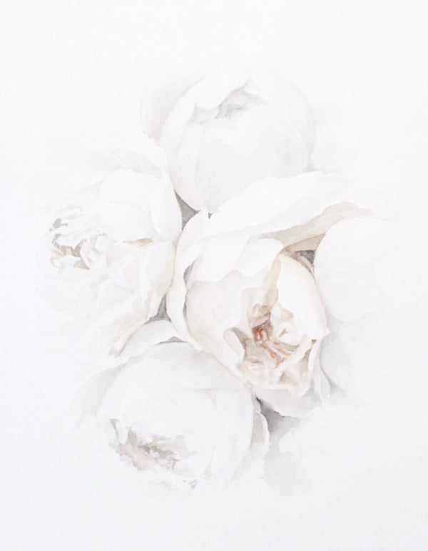 Garden Rose no.6 | 11x14