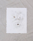 Garden Rose no.9 | 8x10