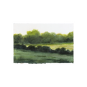 Last Light | 5.5x8.5