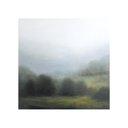 Misted | 36x36