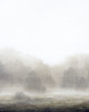 In Stock: Mushroom Mist Print