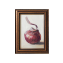 Onion Study no.2 | 5x7