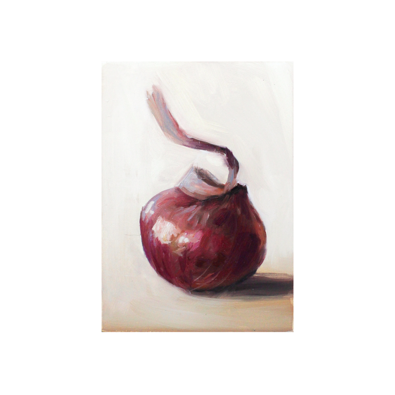 Onion Study no.2 | 5x7