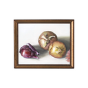 Onion Study no.3 | 8x10
