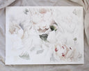 Peony no.11 | 18x24