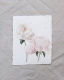 Peony no.8 | 8x10