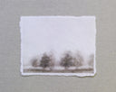 Sepia Meadow | 8x10
