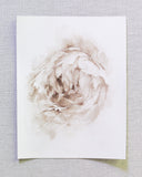 Sepia Peonies no.1 | 8x10