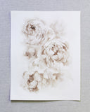 Sepia Peonies no.3 | 11x14